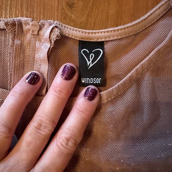 ✨Windsor Glitter ✨Bodycon dress Nude beige size small ✨ - Picture 5 of 9